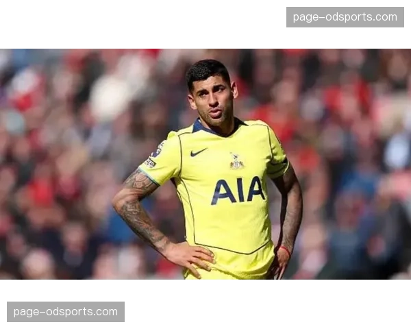 热刺客场负桑德兰跌入降级区 十四轮不胜保级形势严峻